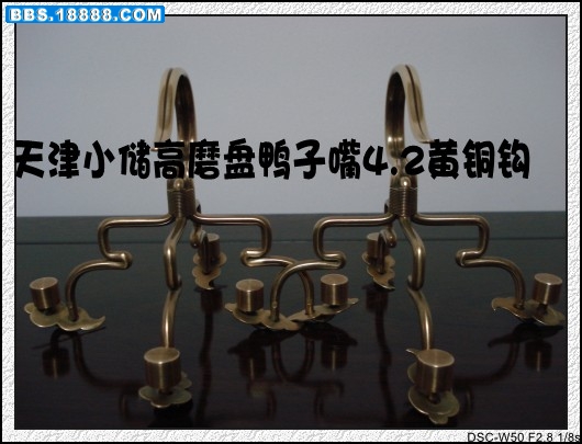 DSC02568_conew1.JPG