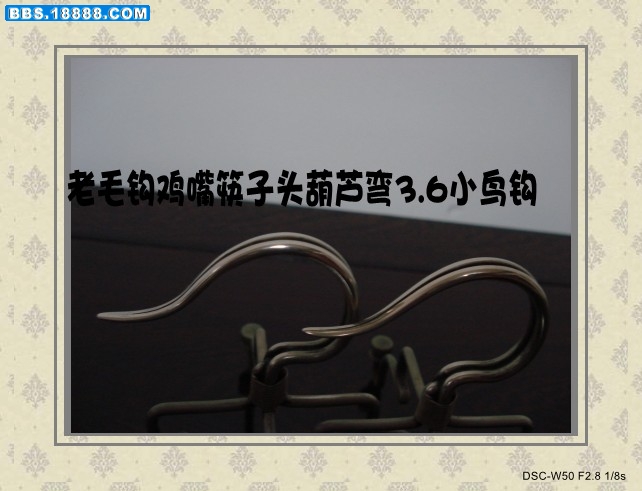 DSC02565_conew1.JPG