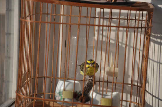 DSC_0029.JPG