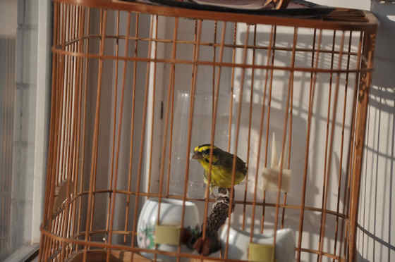 DSC_0028.JPG