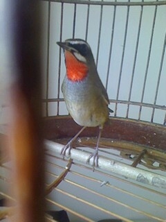 IMG1013132401.JPG