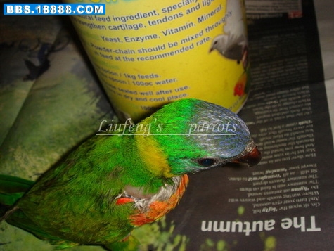 DSC1465_调整大小.jpg