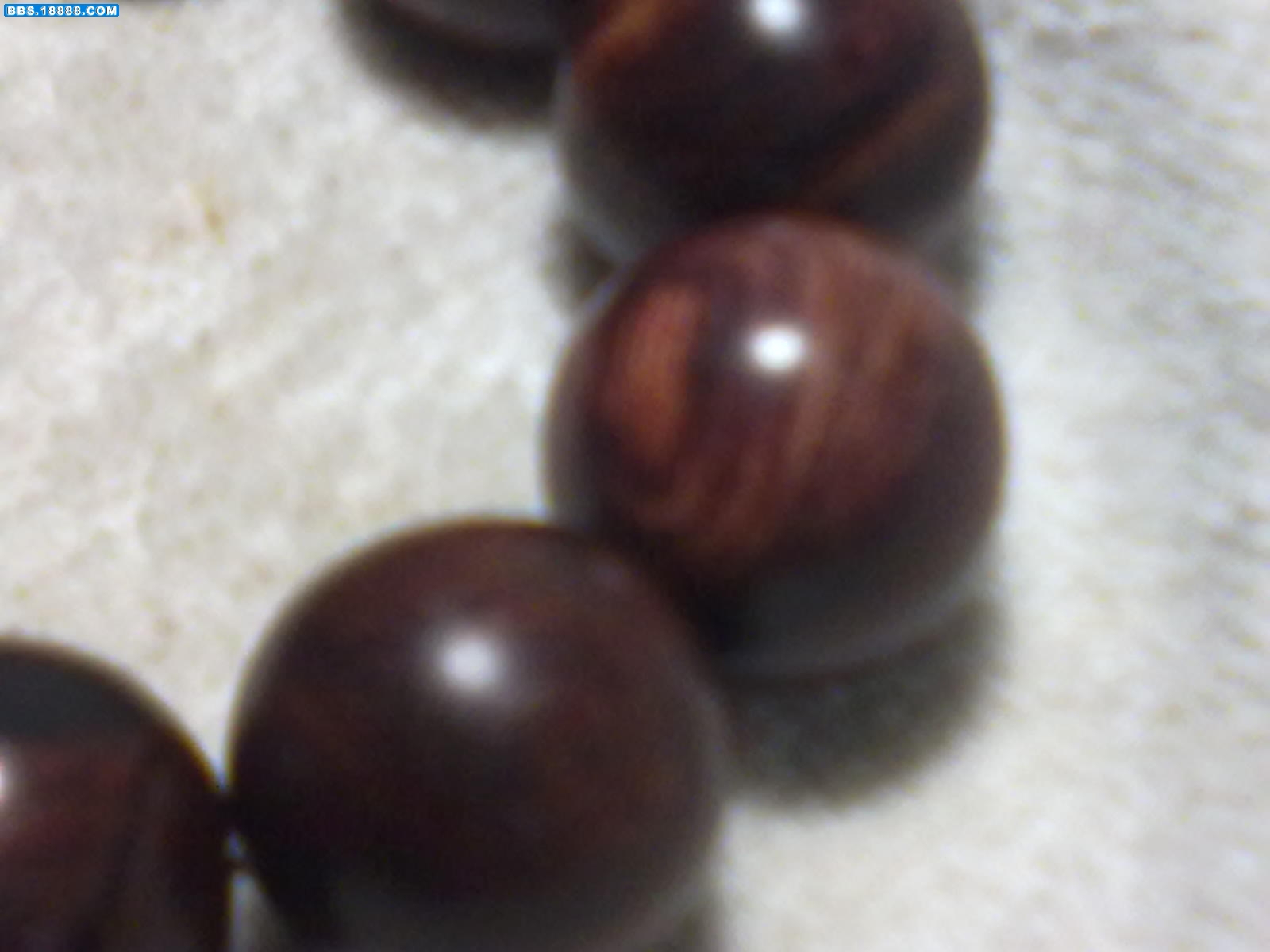 20101124242.jpg