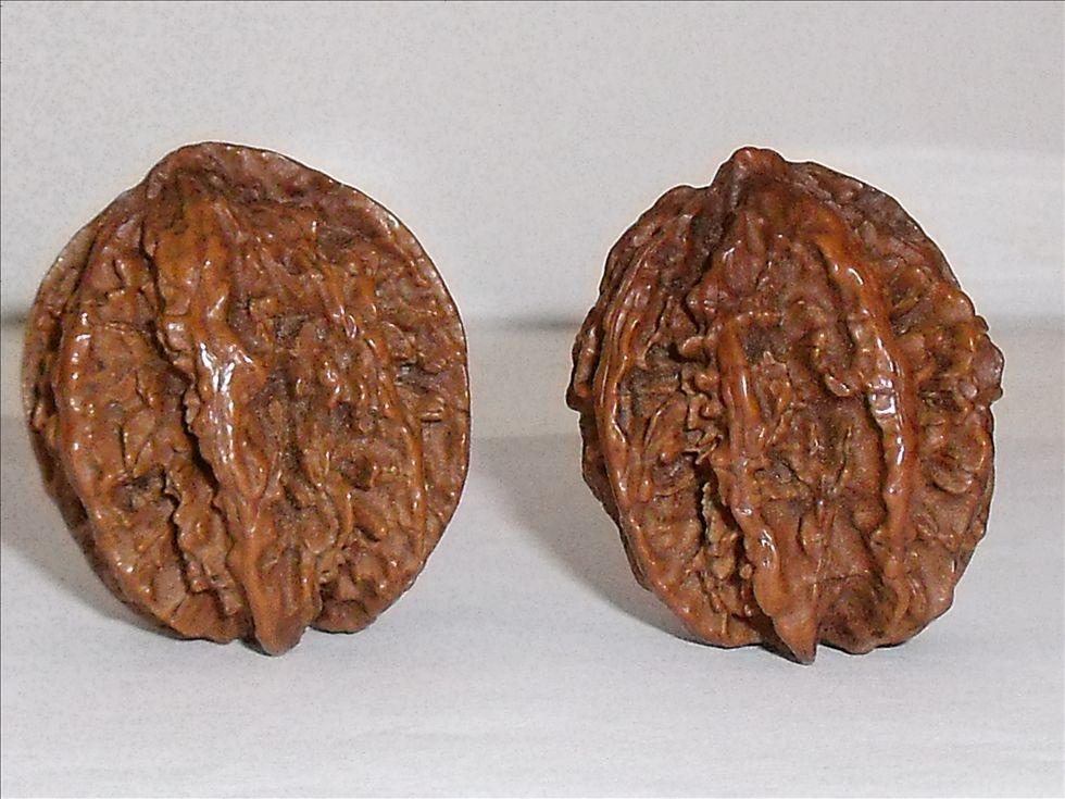 DSCF1754.JPG