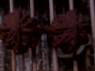IMG0033A.jpg