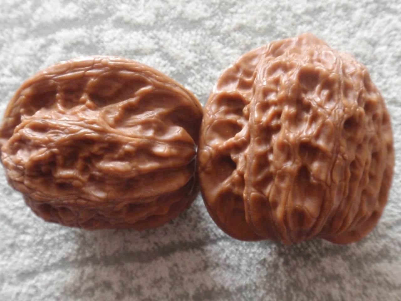 PB240145.jpg