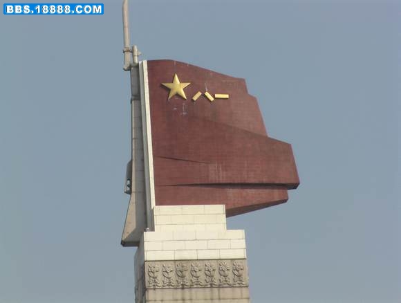 幼灰鹦鹉 001.jpg