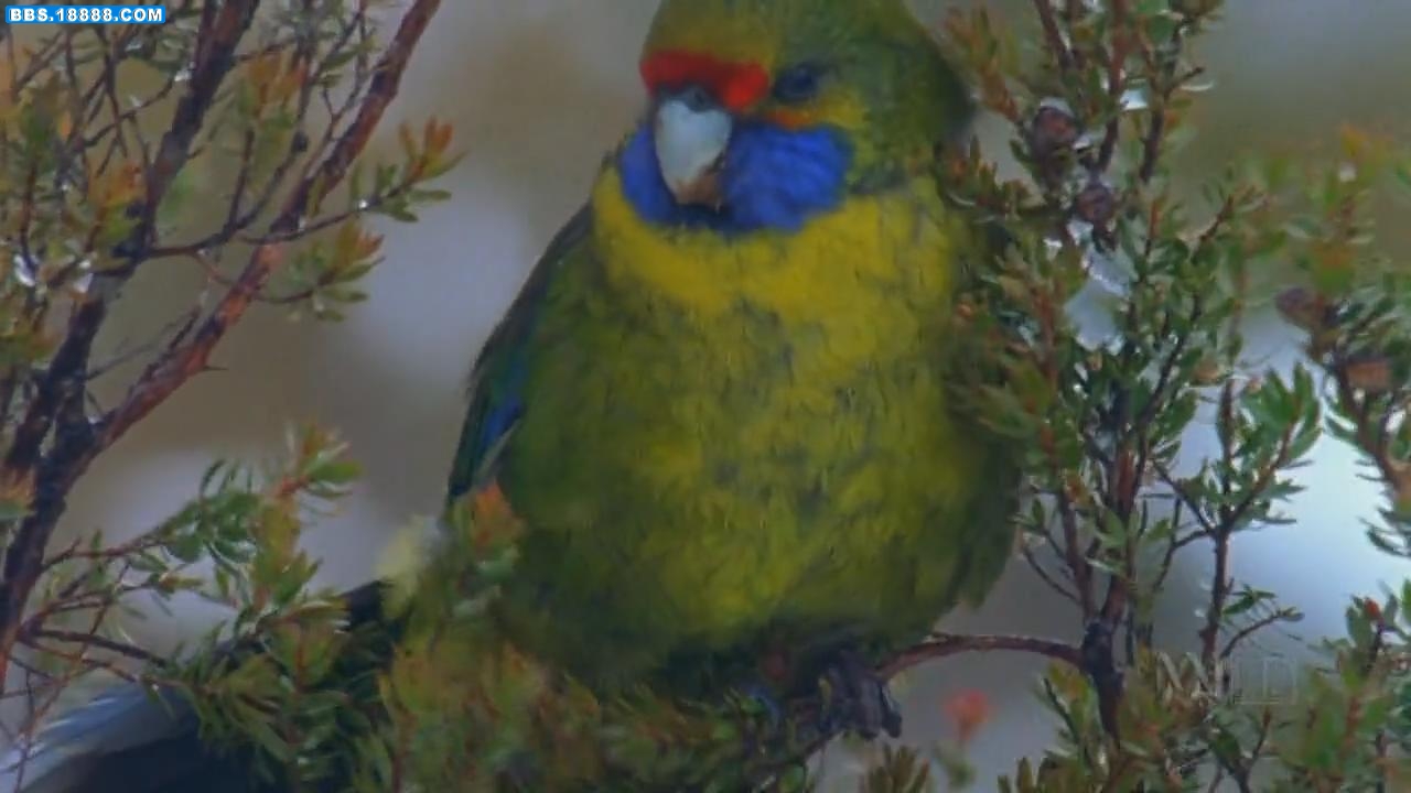 20101111194824.jpg