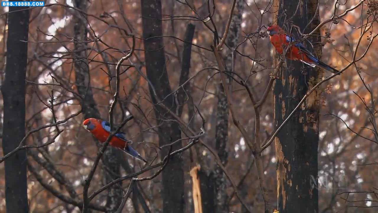 20101111195734.jpg