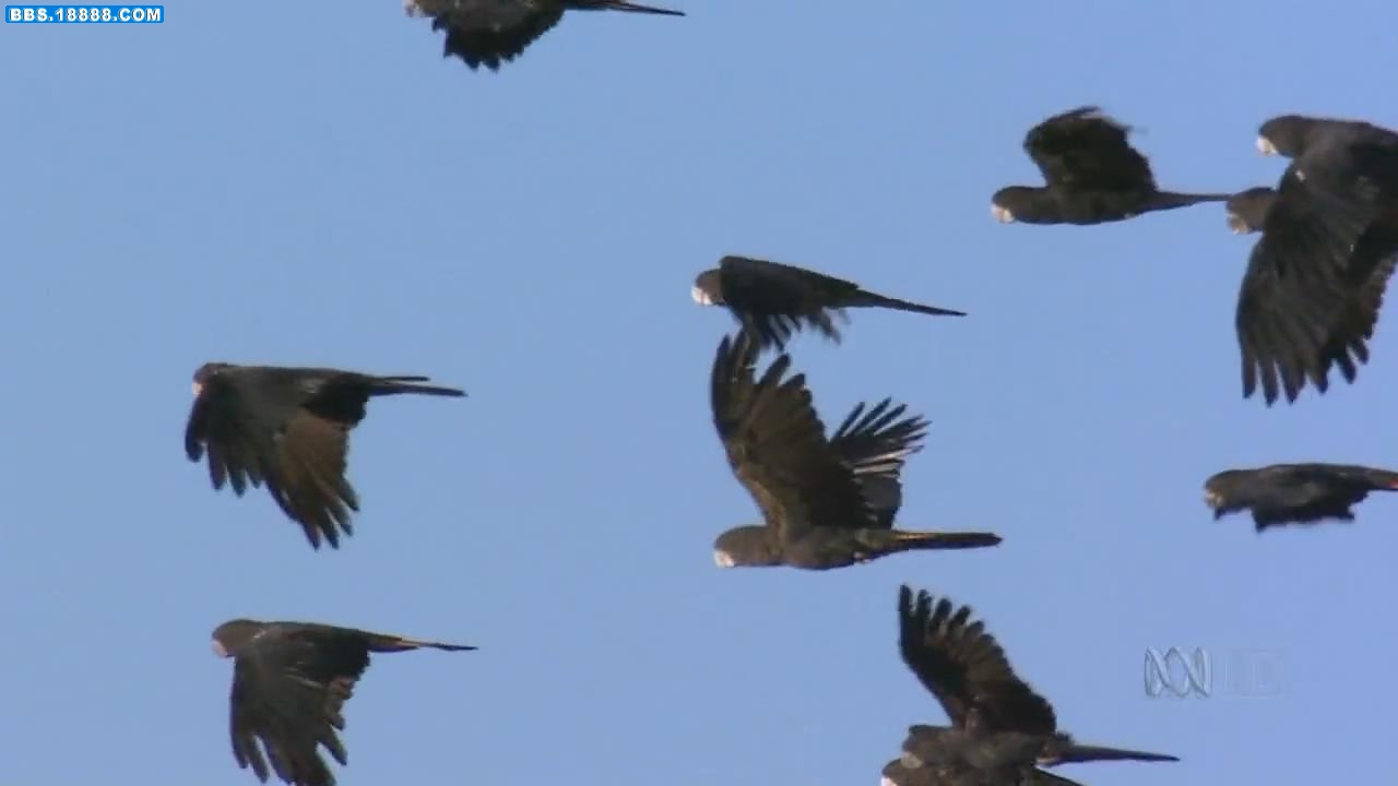 20101111200955.jpg