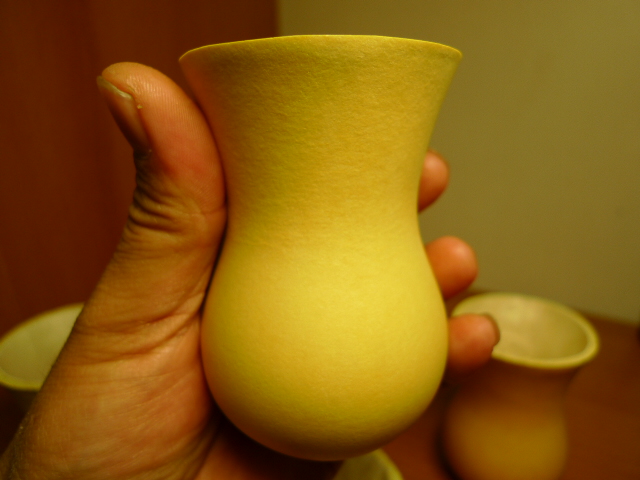 P1000760.JPG
