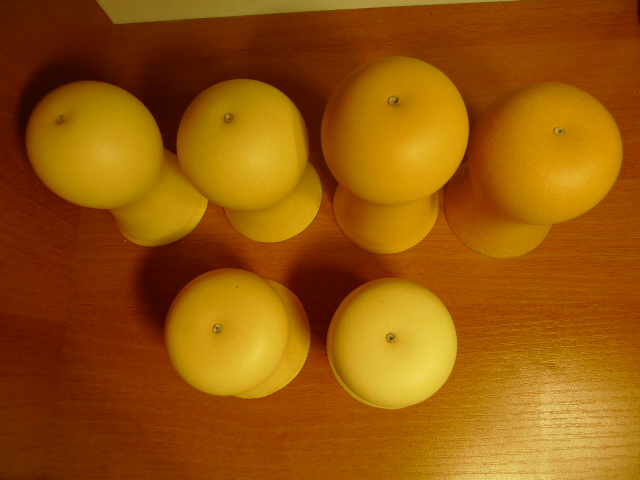 P1000753.JPG