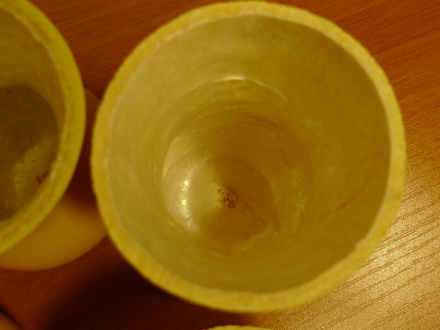 P1000758.JPG