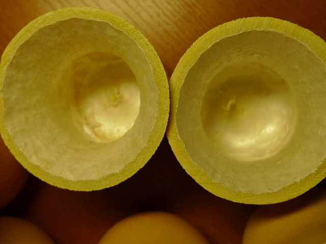 P1000759.JPG
