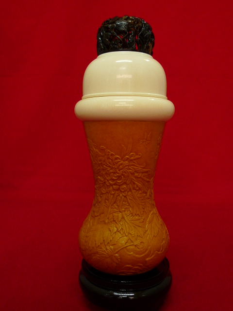 P1000824.JPG