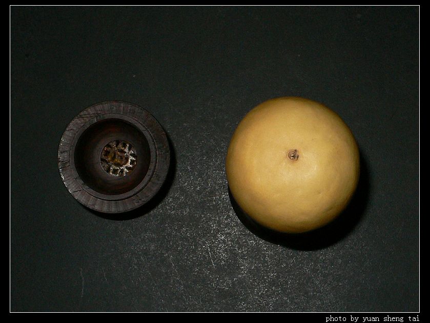 z5.jpg