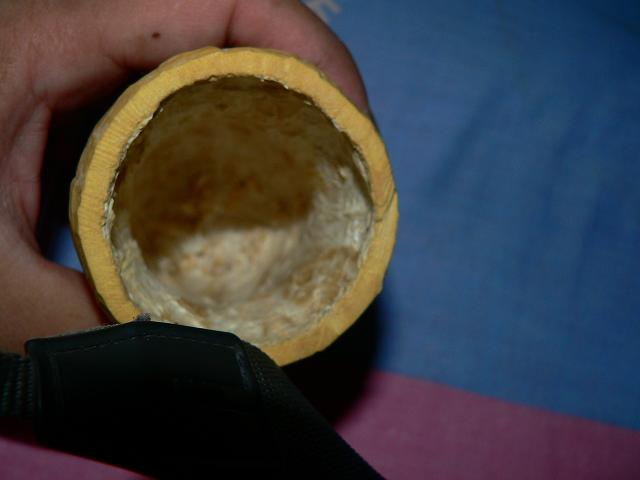 P1070416.JPG