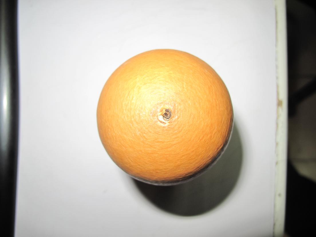 照片 001.jpg