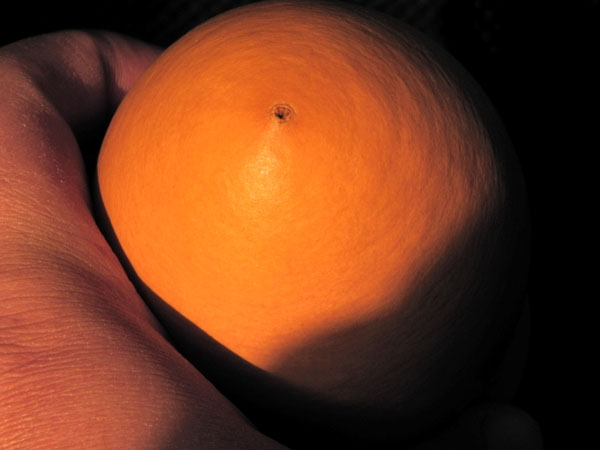 DSCN0678.jpg