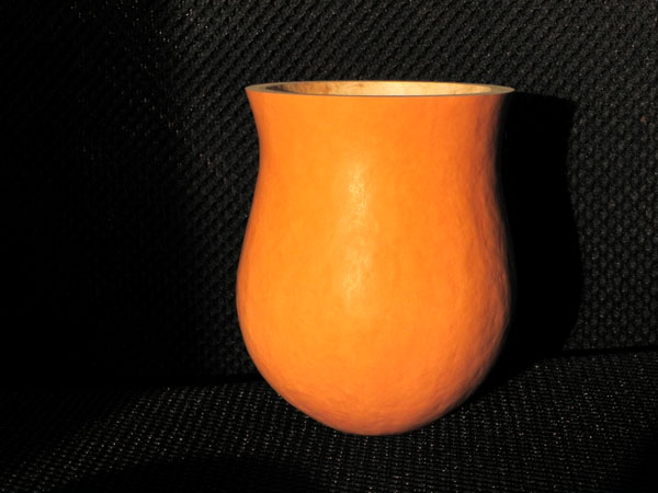 DSCN0670.jpg