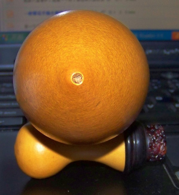 100_8228.JPG