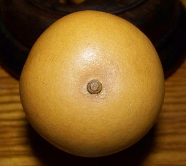 100_8247.JPG