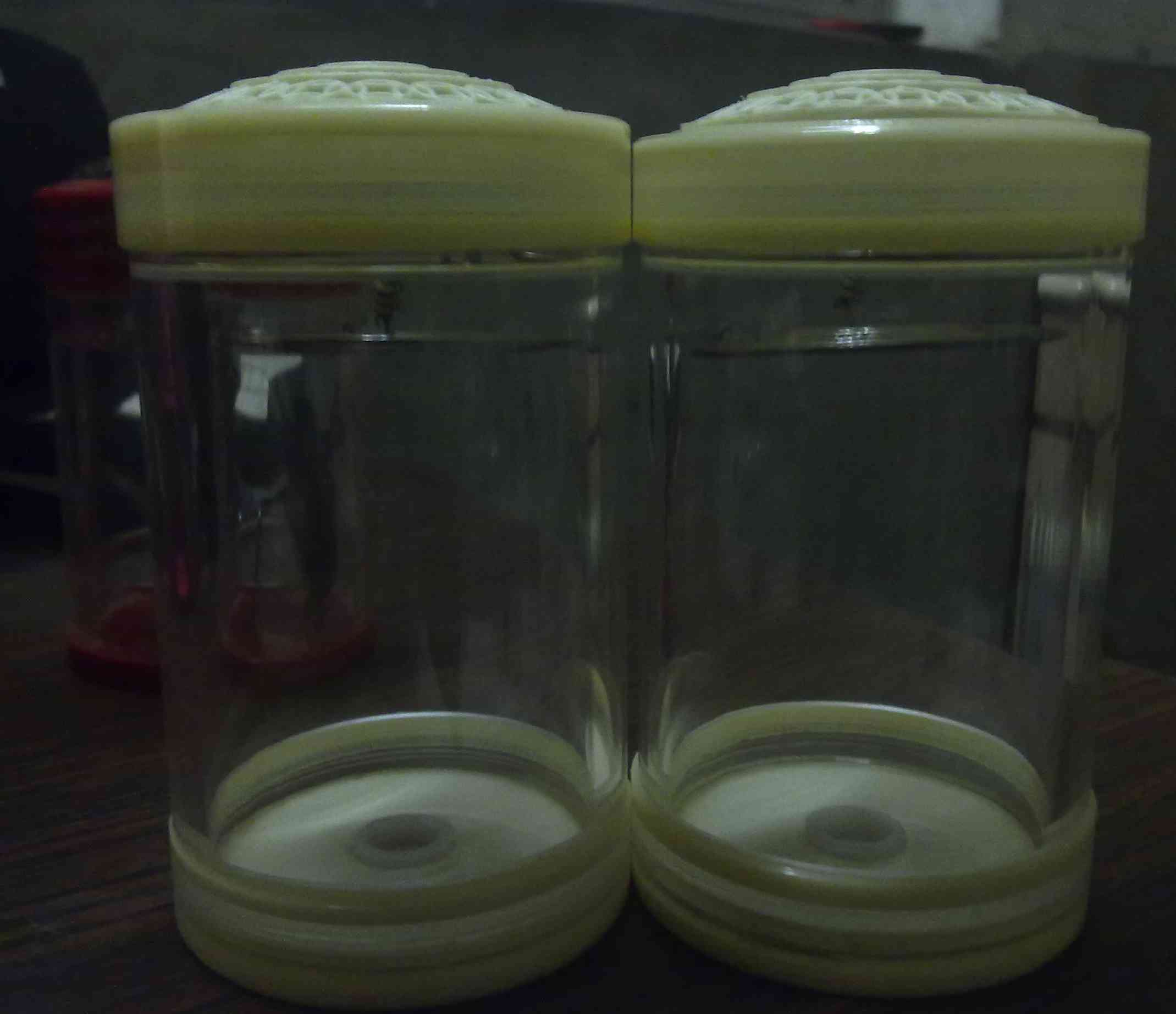 20101104556d.jpg