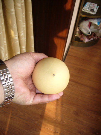 P1220023_调整大小.JPG