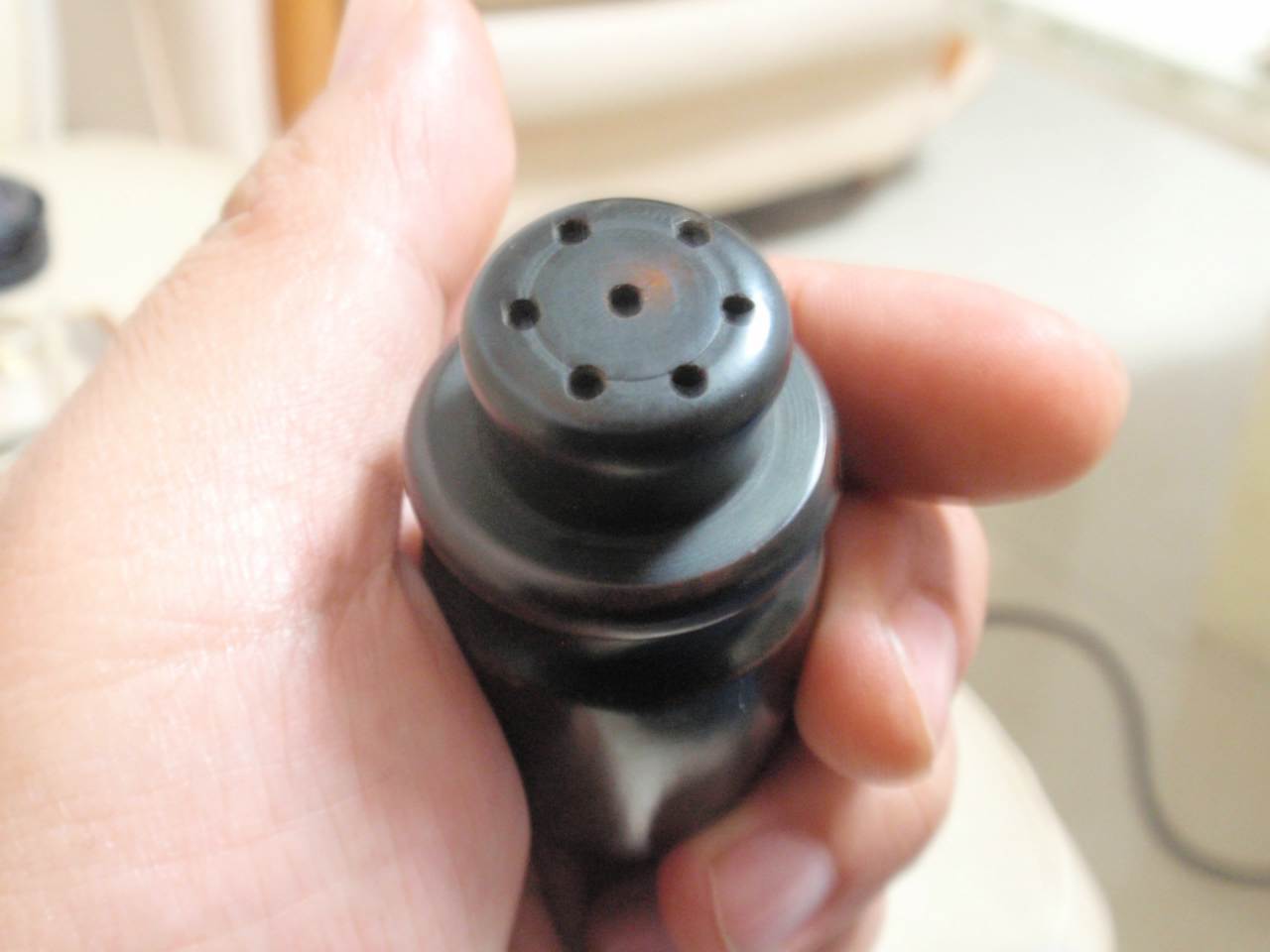 PB170209.JPG