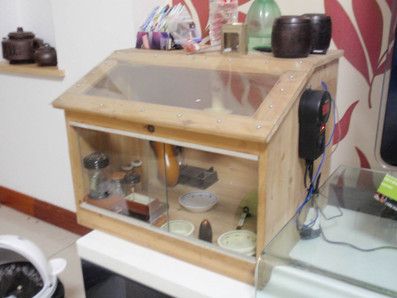 PB170213.JPG