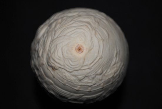 DSC_0046.JPG