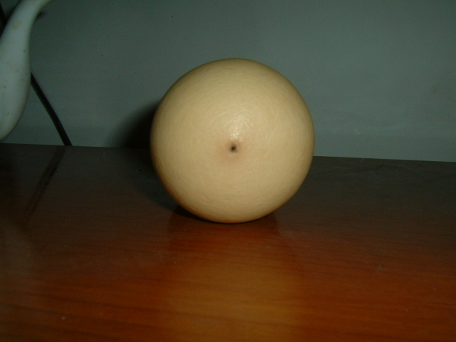 DSCF0036.JPG