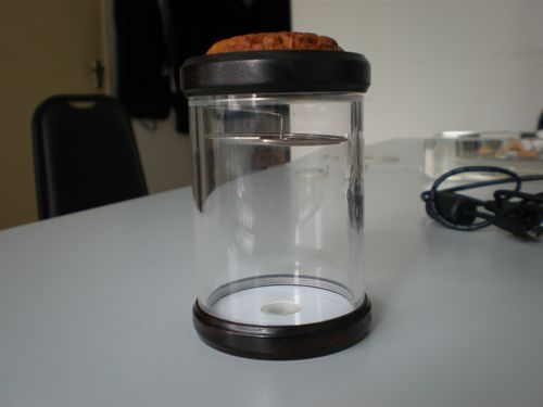 PB010843.JPG