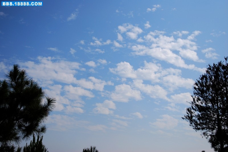 DSC_0140.JPG