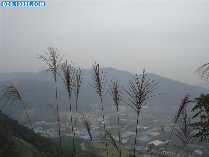 dsc00209_副本.jpg