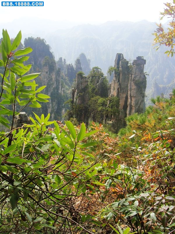 3张风光.jpg