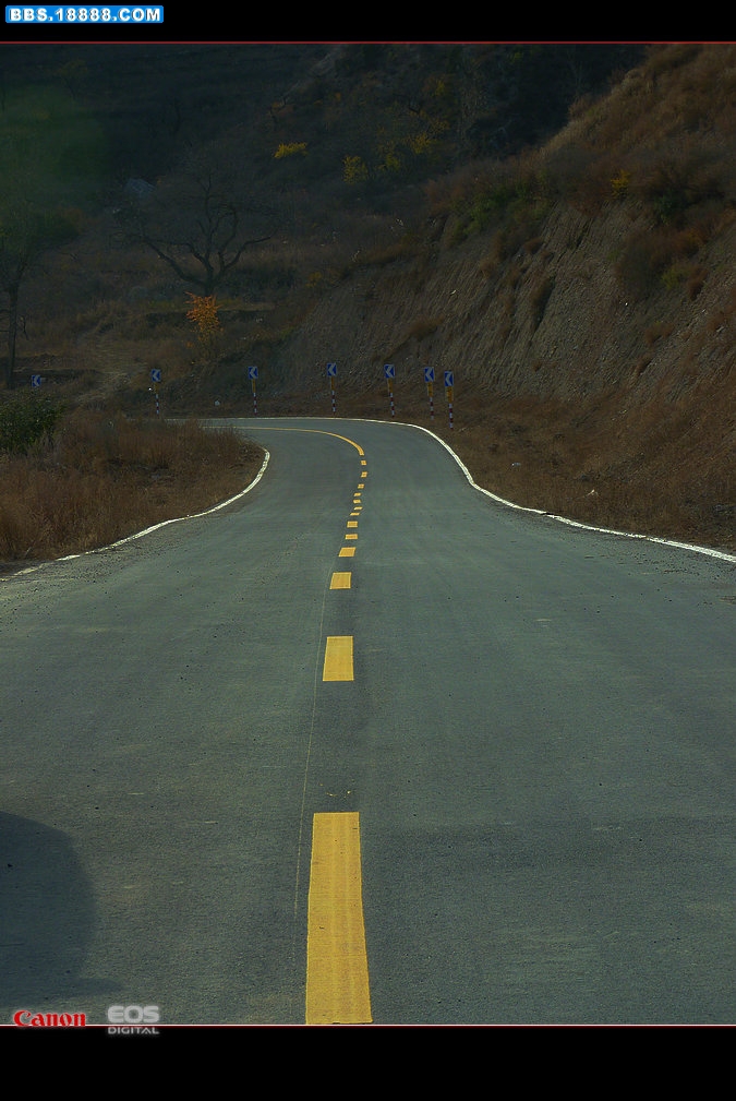 P1010434.jpg