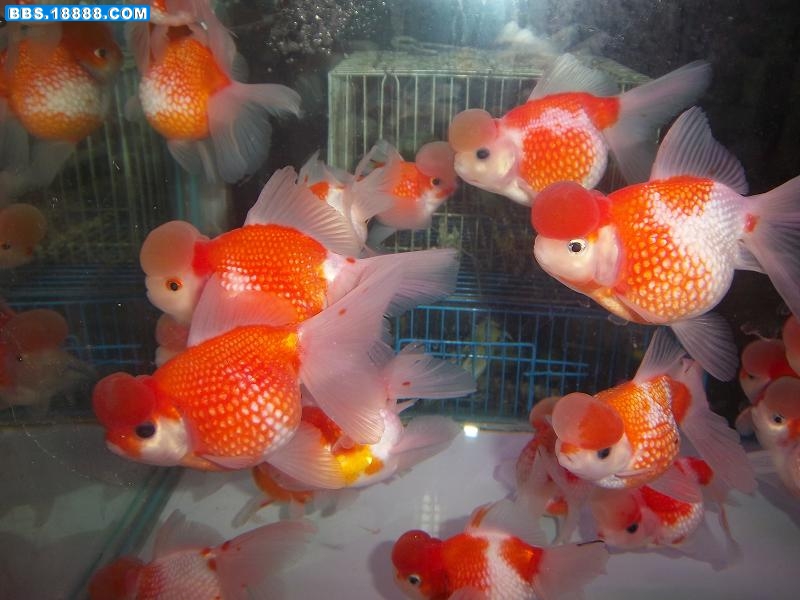 照片 156.jpg
