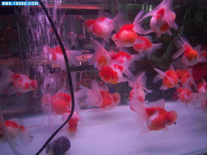 照片 141.jpg