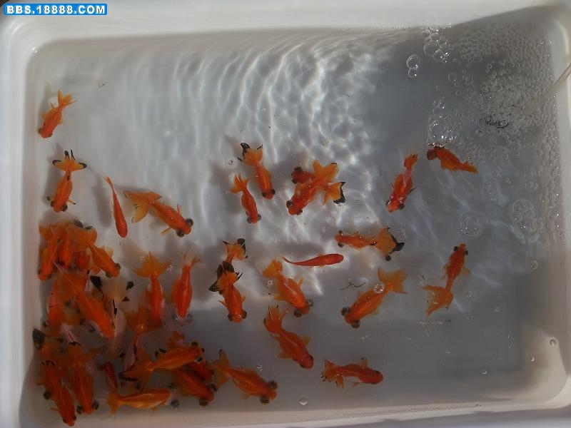 照片 086.jpg