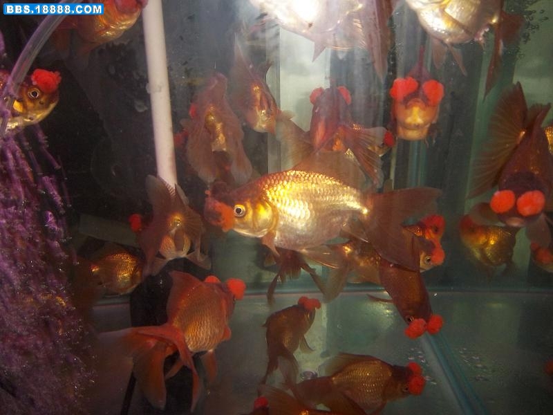 照片 160.jpg