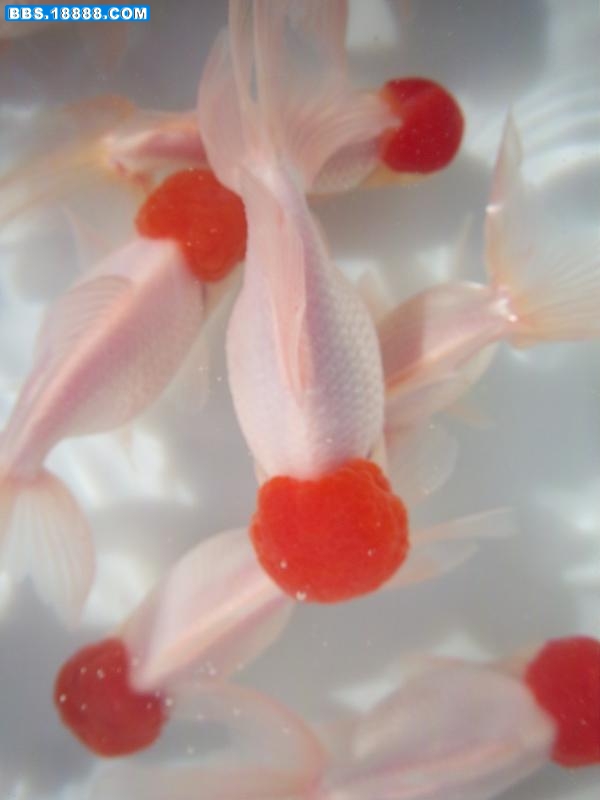 照片 089.jpg