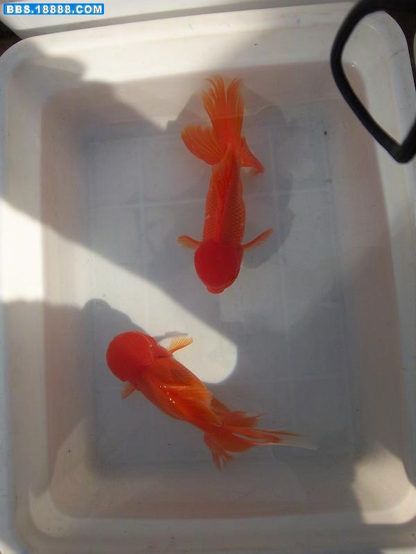 照片 111.jpg