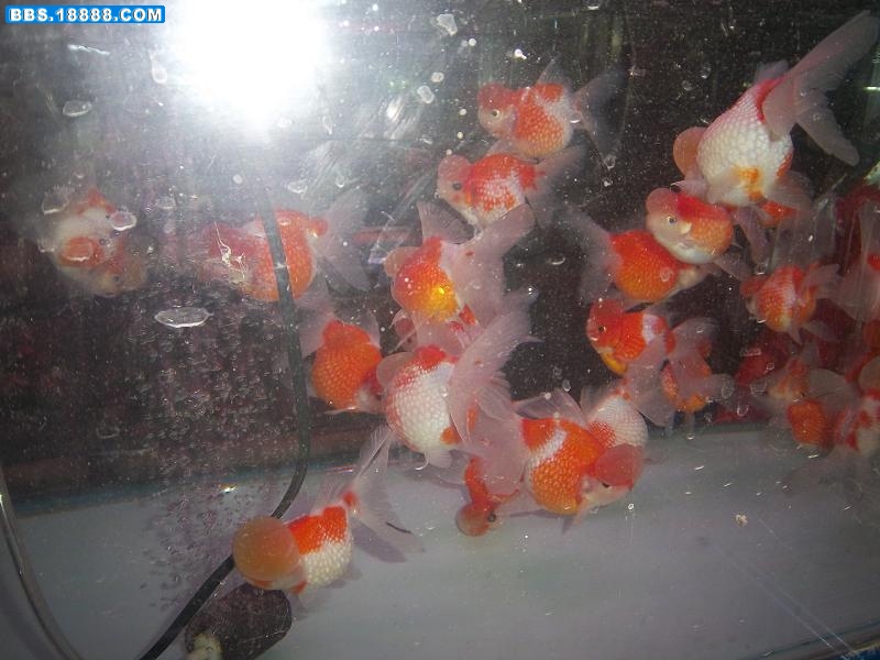 照片 140.jpg