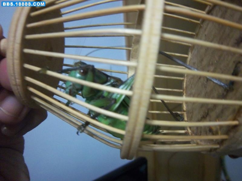 照片 076.jpg
