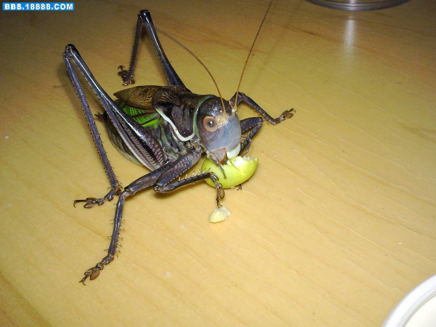 20101111154.jpg