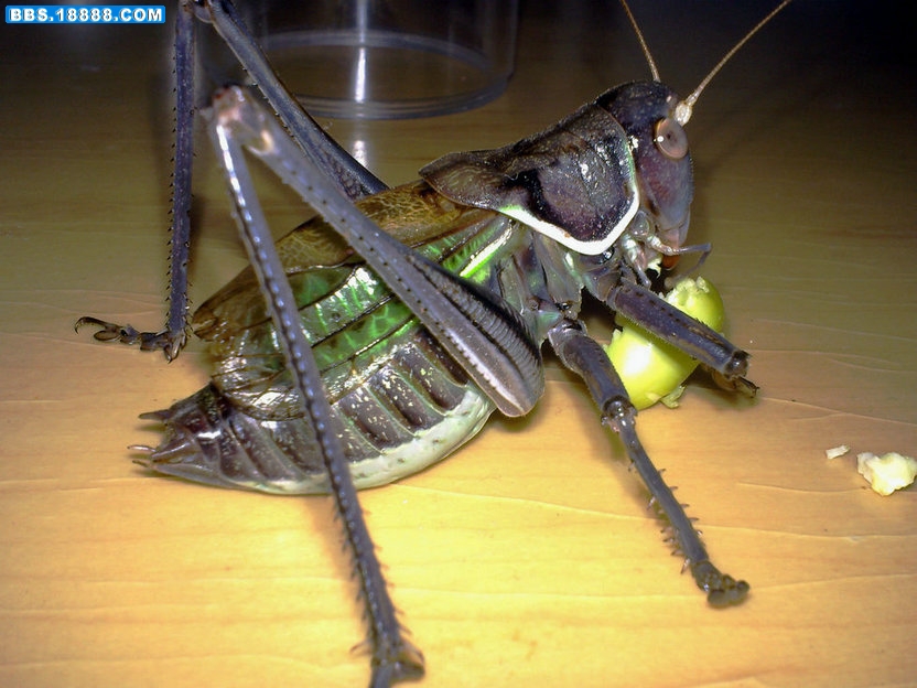 20101111158.jpg