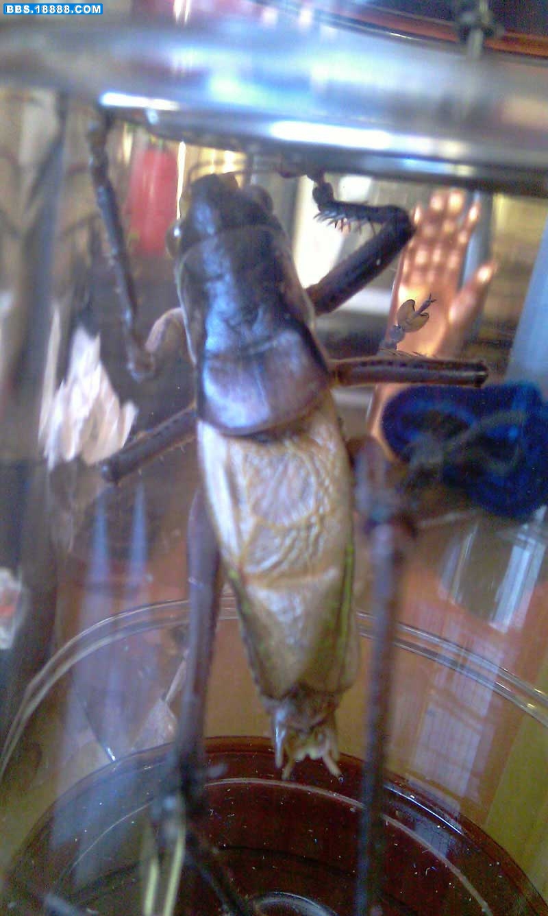 IMAG0075.jpg