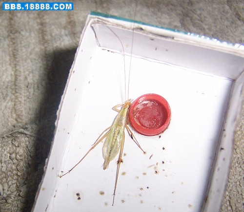 照片 015.jpg