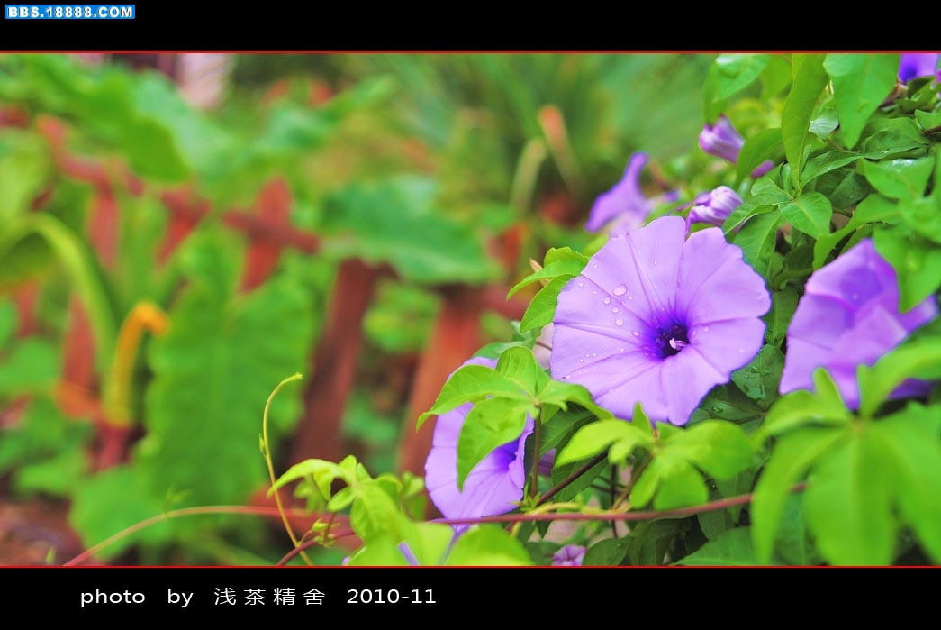 DSC_4082.jpg